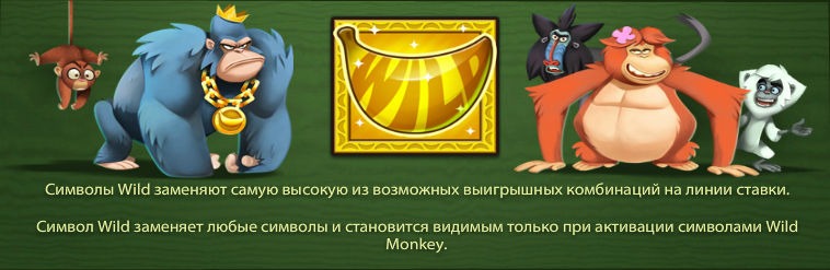 Дикие символы